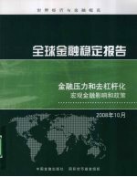 全球金融稳定报告 2008年10月 金融压力和去杠杆化