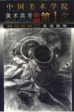 中国美术学院美术高考全国第1名精品范画 素描静物