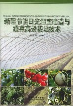 新疆节能日光温室的建造与蔬菜高效栽培技术