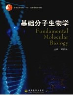 基础分子生物学