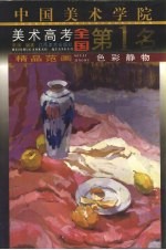 中国美术学院美术高考全国第1名精品范画 色彩静物