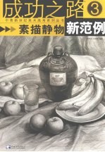 素描静物新范例 3