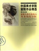 素描头像骨骼、肌肉及多角度分析