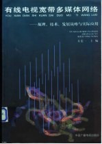 有线电视宽带多媒体网络 原理、技术、发展战略与实际应用