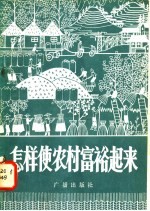 怎样使农村富裕起来  广播对话