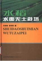 水稻水面无土栽培