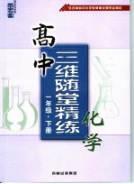 中高三维随堂精练 化学 一年级 下