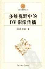 多维视野中的DV影像传播