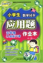 龙人新视点小学生应用题作业本 五年级 下 人教版