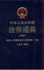 中华人民共和国法律通典 刑事卷 下