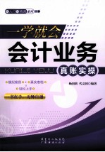 一学就会，会计业务真账实操