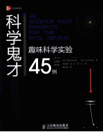 科学鬼才 趣味科学实验45例