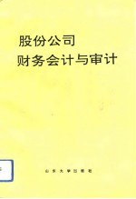 股份公司财务会计与审计