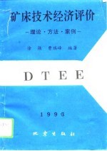 矿床技术经济评价 理论、方法、案例