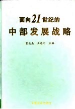 面向二十一世纪的中部发展战略