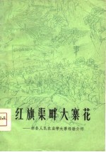 红旗渠畔大寨花  林县人民农业学大寨经验介绍