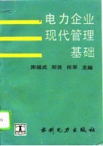 电力企业现代管理基础