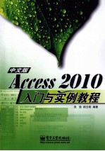 Access 2010中文版入门与实例教程  中文版