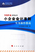 小企业会计准则 实务操作指南