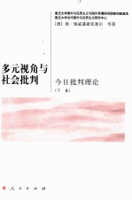 多元视角与社会批判 今日批判理论 下