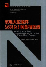 核电大型锻件SA508 GR.3钢金相图谱