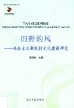 田野的风 社会主义新农村文化建设研究