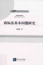 IP知识产权专题研究书系  商标法基本问题研究