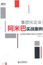 集团化企业阿米巴实战案例 一家300亿规模企业的全程操作