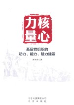 核心力量 基层党组织的动力能力魅力建设