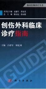 临床医师诊疗丛书  创伤外科临床诊疗指南