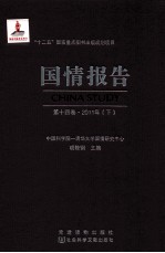 国情报告 第14卷 2011年 下