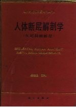 人体断层解剖学  矢冠斜断断层