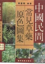 中国民间常见草药原色图集