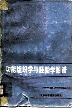 功能组织学与胚胎学图谱