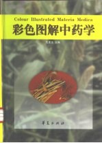 彩色图解中药学