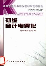 初级会计电算化 2004年版