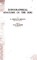 TOPOGRAPHICAL ANATOMY OF THE DOG