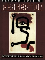 PERCEPTION SECOND EDITION