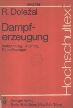 Dampferzeugung Verbrennung