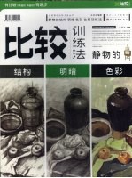 静物的结构、明暗、色彩比较训练法