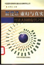 新经济：虚幻与真实  经济大国的复兴之路