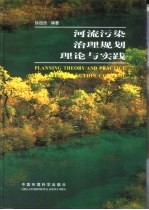 河流污染治理规划理论与实践