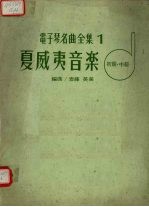 电子琴名曲全集1夏威夷音乐初级中级