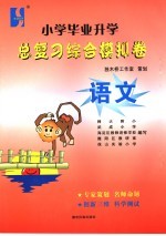 小学毕业升学总复习综合模拟卷 语文