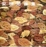 安明阳画集