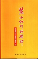 麓山红叶映朝晖 长沙市关心下一代工作委员会成立二十周年纪念文集