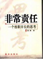 非常责任 一个挂职市长的思考