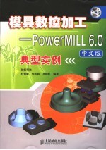 模具数控加工 PowerMILL 6.0中文版典型实例