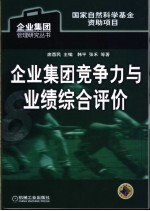 企业集团竞争力与业绩综合评价