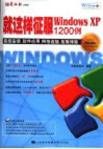 Windows常见漏洞攻击与防范实战